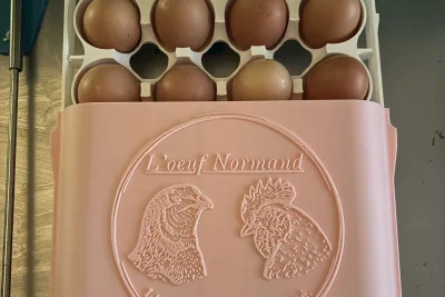 Boite de 12 oeufs de poules personnalisable