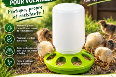 Mangeoire à réservoir 1 Kg pour poussins et cailleteaux