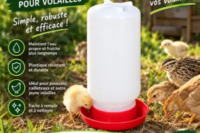 Abreuvoir poussins cailleteaux à réserve 1 litre